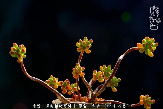 八字在线测试相克