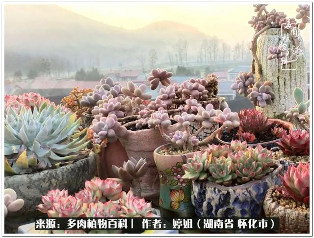 2020年三月好的八字 2020年三月好的八字