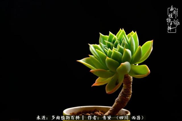 八字在线测试相克
