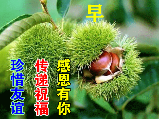 激励人心的八字短句 激励人心的八字短句
