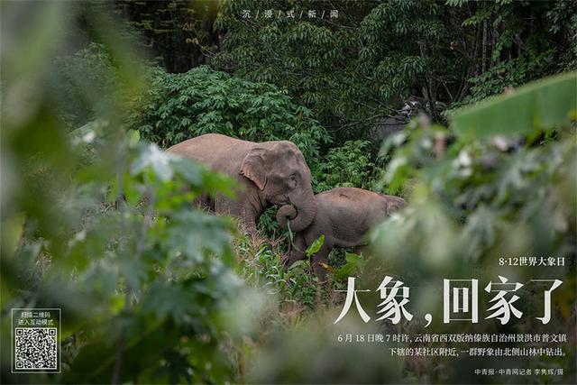 2014年8月16日八字 2014年8月16日八字