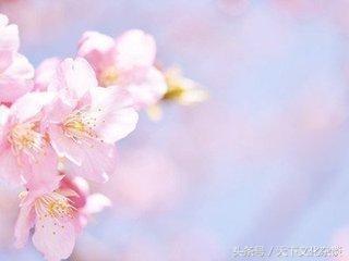 八字纯阳能结婚吗 八字纯阳能结婚吗