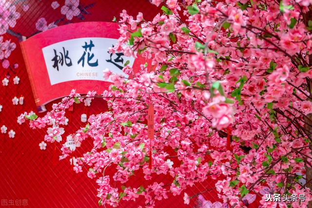 生辰八字小说免费在线阅读