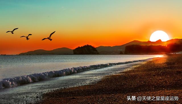 07年属猪女在2022年的全年运势 07年属猪女在2022年的全年运势