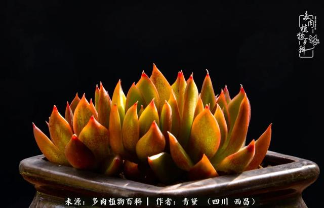 八字在线测试相克