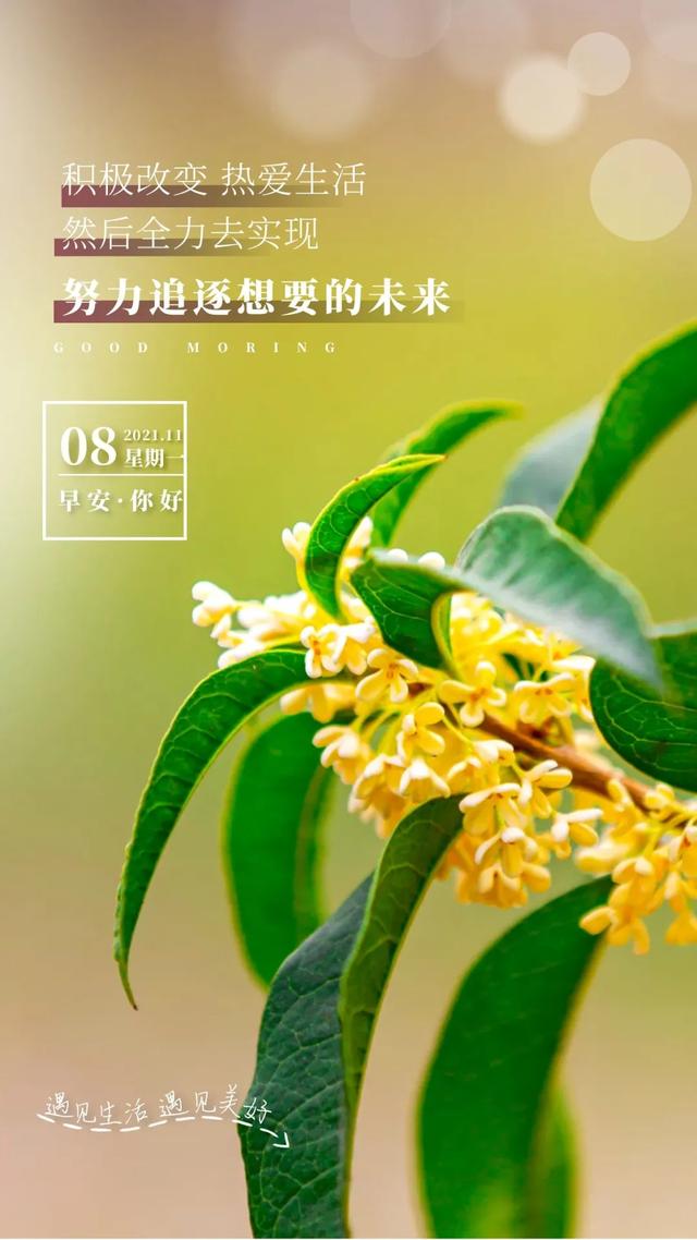 激励人心的八字短句 激励人心的八字短句