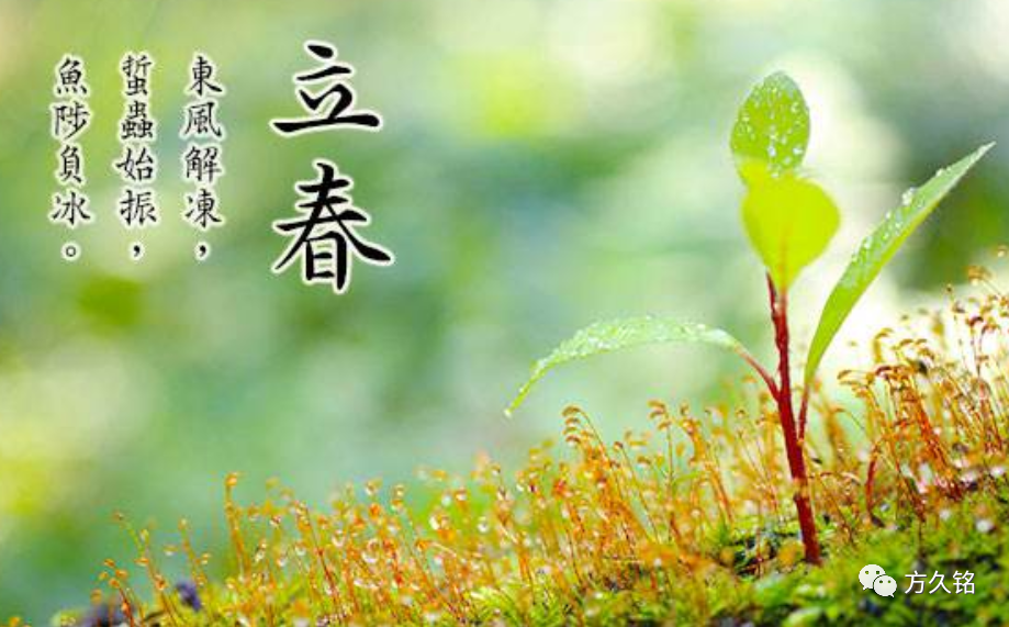 身弱丁火2022年壬寅年运势