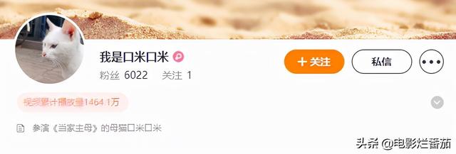 八字综合得分为零好吗 八字综合得分为零好吗