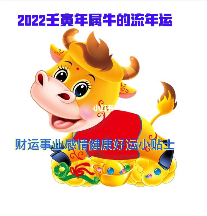 66年出生的人在2022年的运势