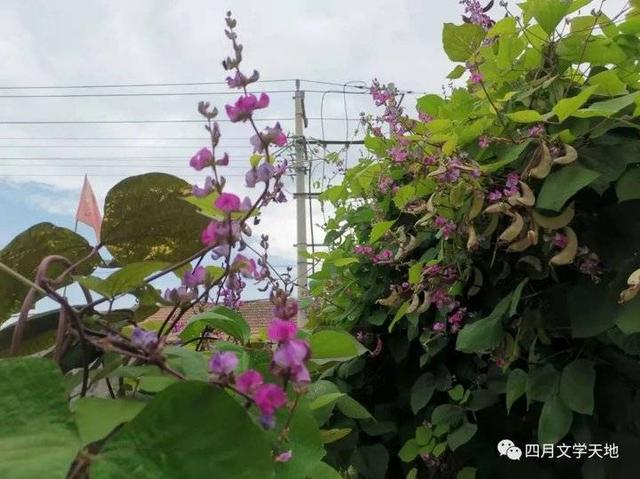 以一开头的八字网名 以一开头的八字网名