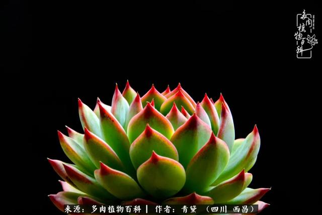 八字在线测试相克