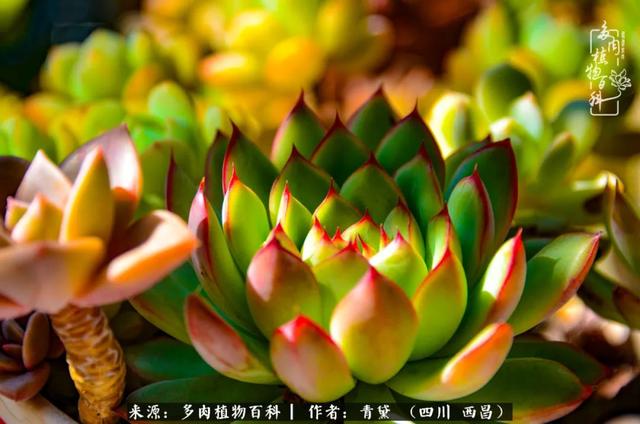 八字在线测试相克