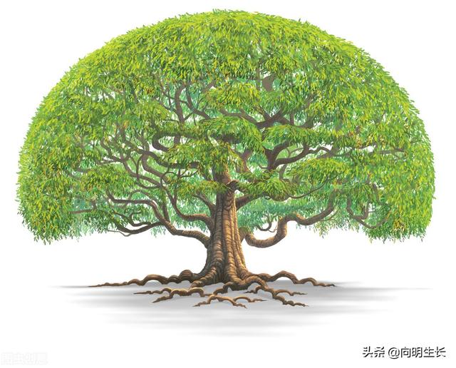 生辰八字算父母寿命免费 生辰八字算父母寿命免费