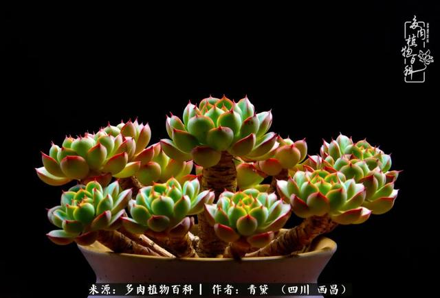 八字在线测试相克