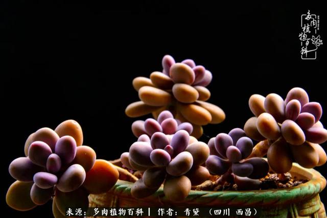 八字在线测试相克
