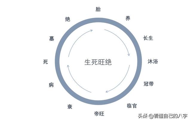 地支天干八字作用强大比较 地支天干八字作用强大比较