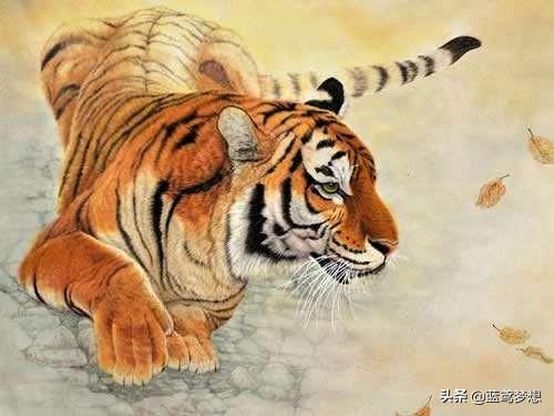 属鸡蛇人2022年虎年全年运势