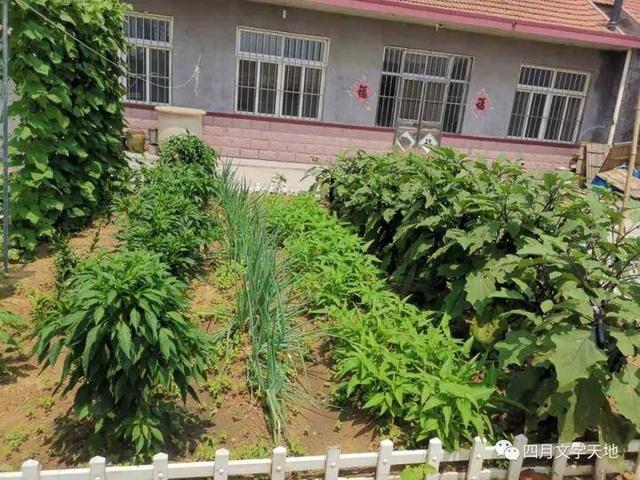 以一开头的八字网名 以一开头的八字网名