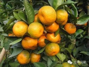 求婚日期八字 求婚日期八字
