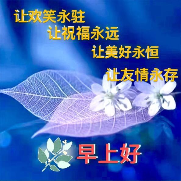 十二生肖2022年3月16日运势