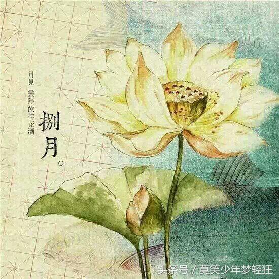 属狗的八字硬不硬