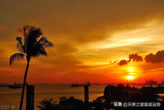 2022兔年运势 2022兔年运势