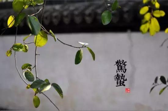 新派八字十神内外环境吉凶分析