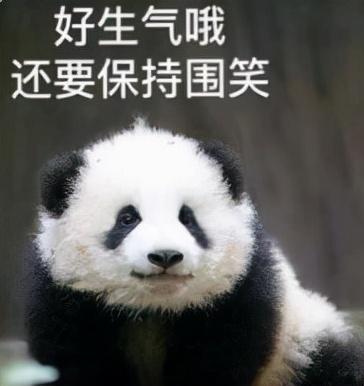 八字普及贴天涯 八字普及贴天涯