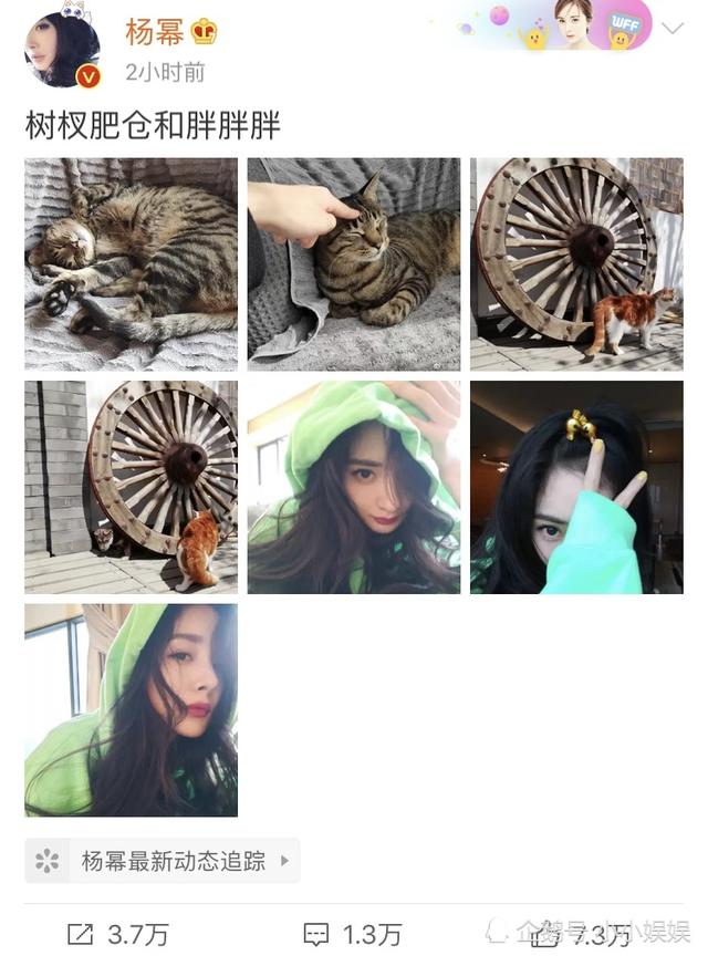 有人分析下杨幂的八字吗