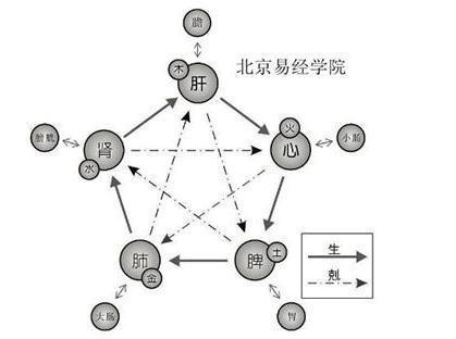 五行排八字