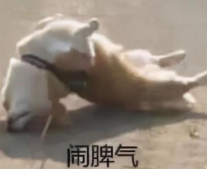 八字普及贴天涯 八字普及贴天涯