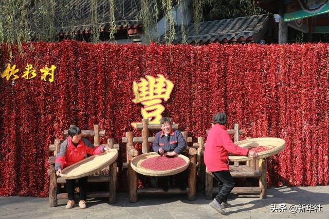 在线电脑批八字记录详情 在线电脑批八字记录详情