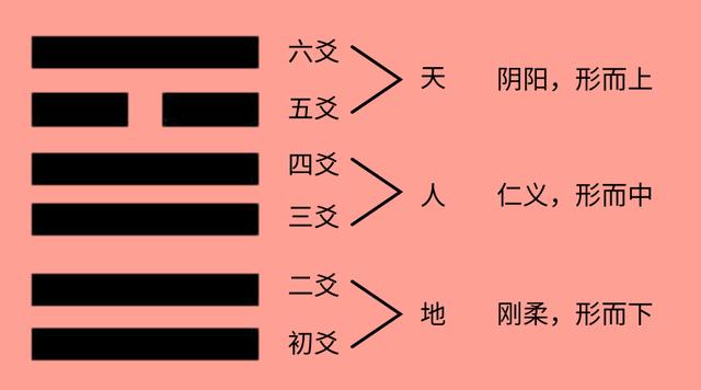 八字地支对应身体部位 八字地支对应身体部位
