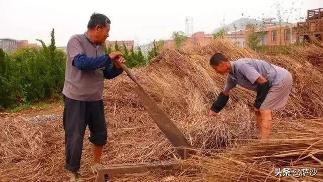 有先看日子再上门讨八字的吗