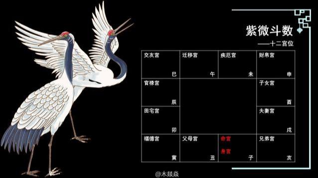 紫微斗数在线排盘四柱八字 紫微斗数在线排盘四柱八字