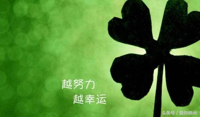 八字太高是什么意思呢