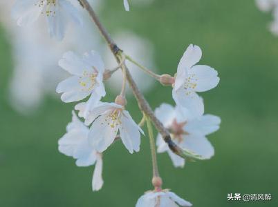 2019说说句子八字 2019说说句子八字