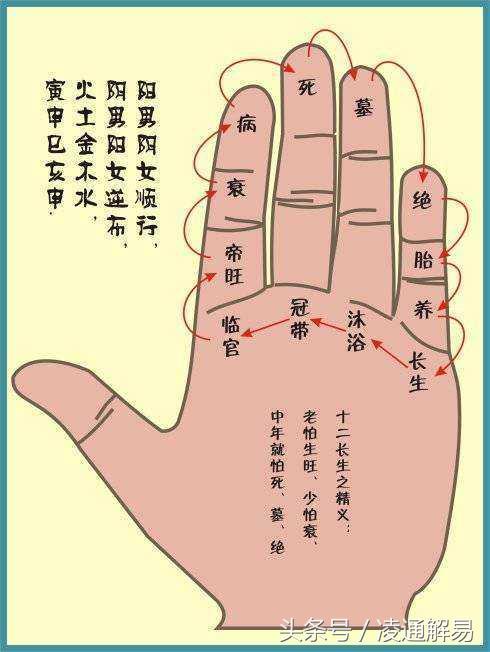 八字中地支藏正官