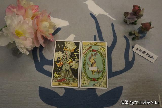 71年属猪2022年感情婚姻运势 71年属猪2022年感情婚姻运势