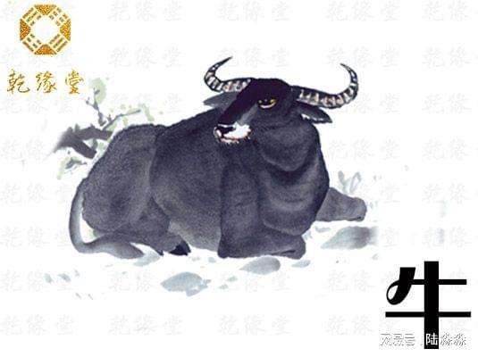 1997女牛2022每月运势