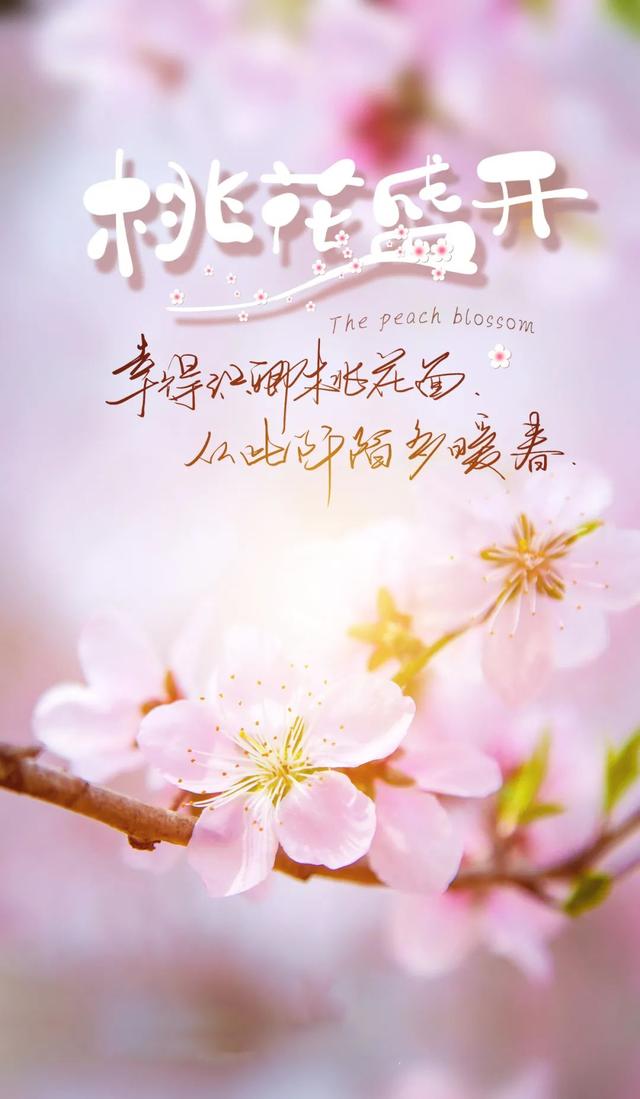 八字励志语句 八字励志语句