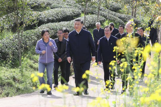 国有企业与政府部门八字区别 国有企业与政府部门八字区别