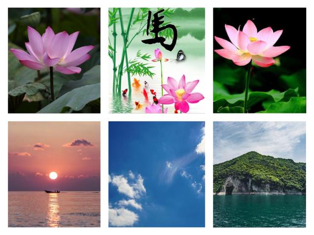 2019年12月1号16点生辰八字 2019年12月1号16点生辰八字