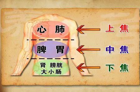 八字补肾中药成配方剂量 八字补肾中药成配方剂量