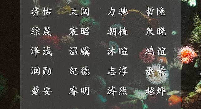 八字命理之正道精髓免费在线阅读 八字命理之正道精髓免费在线阅读