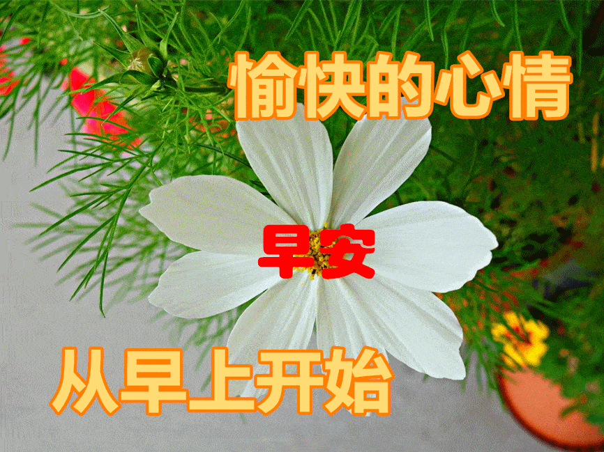 八字励志语句 八字励志语句