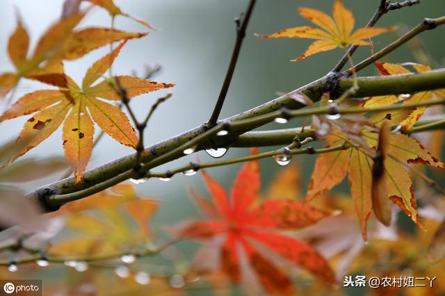 八字命宫快速查询表 八字命宫快速查询表
