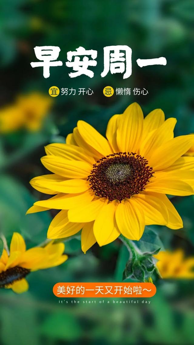 八字励志语句 八字励志语句