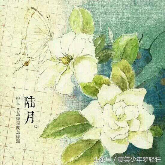 属狗的八字硬不硬