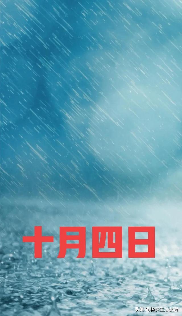 1981年农历8月28日八字 1981年农历8月28日八字
